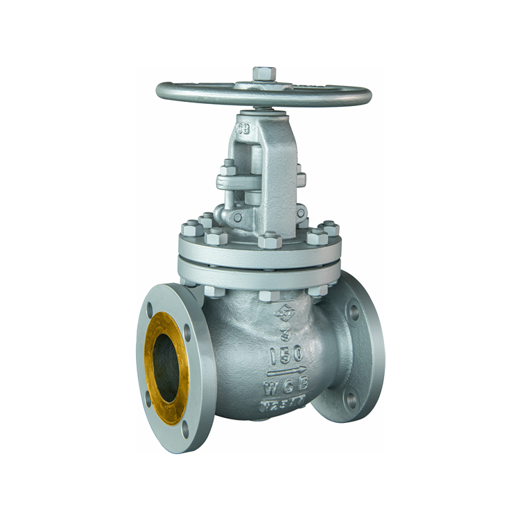 globe check valve

