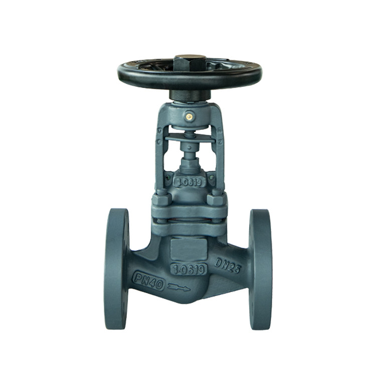 globe check valve

